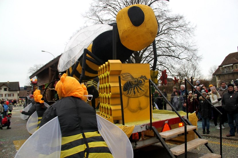 Sarmenstorf Fasnachtsumzug 16.02.2014 (75)